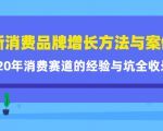 新消费品牌增长方法与案例精华课：20年消费赛道的经验与坑全收录-赚金金-技能学习分享