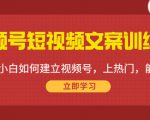 视频号短视频文案训练营：0基础小白如何建立视频号，上热门，能卖货！-赚金金-技能学习分享
