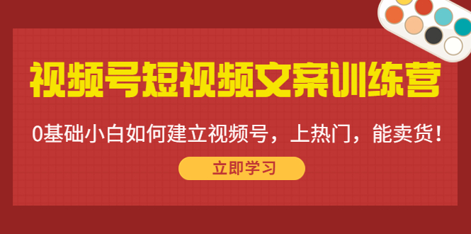 视频号短视频文案训练营：0基础小白如何建立视频号，上热门，能卖货！-赚金金-技能学习分享