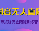 抖音无人直播带货赚佣金陪跑训练营(价值6980元)-赚金金-技能学习分享