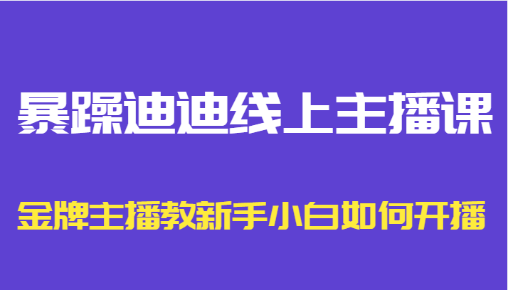 暴躁迪迪线上主播课,金牌主播教新手小白如何开播-赚金金-技能学习分享