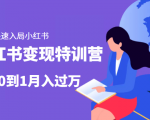 小红书变现特训营:带你快速入局小红书,从0到1月入过万-赚金金-技能学习分享