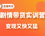 《剧情带货实训营》目前最好的直播带货方式,变起现来是又快又猛(价值980元)-赚金金-技能学习分享
