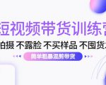 短视频带货训练营：不拍摄 不露脸 不买样品 不囤货发货 简单粗暴混剪带货（第三期）-赚金金-技能学习分享