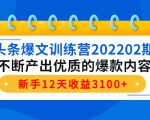 头条爆文训练营202202期,不断产出优质的爆款内容,新手12天收益3100+-赚金金-技能学习分享