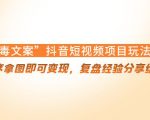 “毒文案”抖音短视频项目玩法,小程序拿图即可变现,复盘经验分享给大家-赚金金-技能学习分享