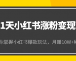 21天小红书涨粉变现营(第4期):带你掌握小红书爆款玩法,月赚10W+秘密-赚金金-技能学习分享