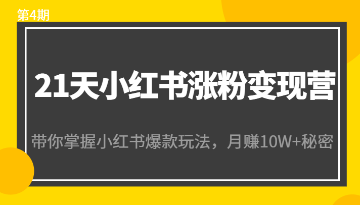 21天小红书涨粉变现营(第4期):带你掌握小红书爆款玩法,月赚10W+秘密-赚金金-技能学习分享