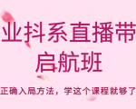 企业抖系直播带货启航班，正确入局方法，学这个课程就够了-赚金金-技能学习分享