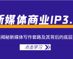 新媒体商业IP3.0,全面揭秘新媒体写作套路及其背后的底层逻辑(价值1299元)-赚金金-技能学习分享