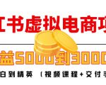 小红书虚拟电商项目:从小白到精英 月收益5000到30000 (视频课程+交付手册)-赚金金-技能学习分享