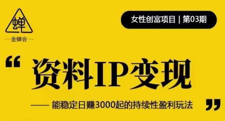 资料IP变现,能稳定日赚3000起的持续性盈利玩法-赚金金-技能学习分享