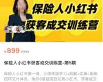 保险人小红书获客成交训练营,0基础高效玩转小红书,可复制的获客成交之路-赚金金-技能学习分享