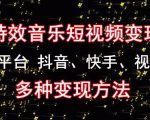 黄岛主《粒子特效音乐短视频变现项目》主攻平台抖音、快手、视频号多种变现方法-赚金金-技能学习分享