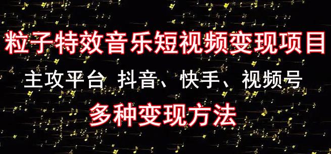黄岛主《粒子特效音乐短视频变现项目》主攻平台抖音、快手、视频号多种变现方法-赚金金-技能学习分享