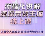 婉婉-主播拉新实操课，流程化讲解资深带货主播，让每个人都成为经得起考验的主播-赚金金-技能学习分享