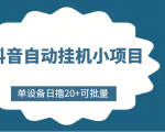 抖音自动挂机小项目,单设备日撸20+,可批量,号越多收益越大-赚金金-技能学习分享