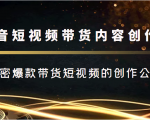 抖音短视频带货内容创作班,解密爆款带货短视频的创作公式-赚金金-技能学习分享
