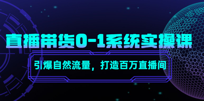 直播带货0-1系统实操课,引爆自然流量,打造百万直播间-赚金金-技能学习分享