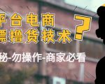 外面收费2980的全平台电商白嫖撸货技术(仅揭秘勿操作-商家防范必看)-赚金金-技能学习分享