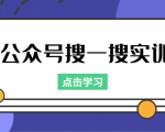 公众号搜一搜实训,收录与恢复收录、 排名优化黑科技,附送工具(价值998元)-赚金金-技能学习分享