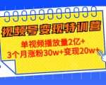 21天视频号变现特训营：单视频播放量2亿+3个月涨粉30w+变现20w+（第14期）-赚金金-技能学习分享