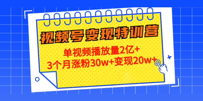 21天视频号变现特训营:单视频播放量2亿+3个月涨粉30w+变现20w+(第14期)-赚金金-技能学习分享