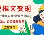 小说推文训练营：引流技巧+爆款实操+矩阵号玩法，百倍效益、百万播放秘笈-赚金金-技能学习分享