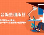 美业抖音流量训练营:从0到10w+粉丝 让你的门店用户增长+业绩增长+利润增长-赚金金-技能学习分享