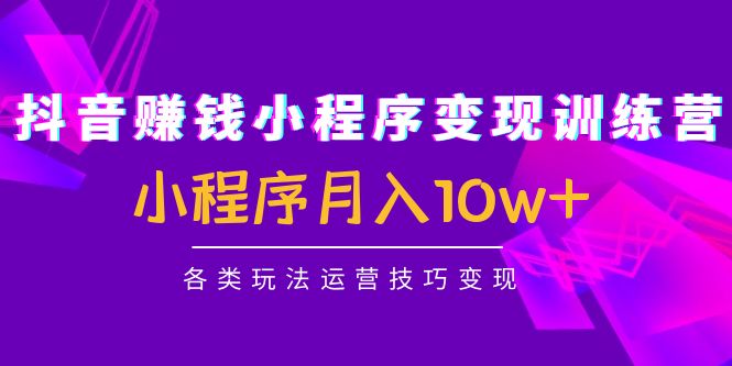 抖音赚钱小程序变现训练营:小程序月入10w+各类玩法运营技巧变现-赚金金-技能学习分享