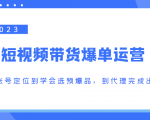 2023短视频带货爆单运营,从账号定位到学会选预爆品,到代理完成出单(价值1250元)-赚金金-技能学习分享