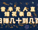 抖音半无人直播烟花表白,日赚几十到几百(教程+视频模板素材)-赚金金-技能学习分享