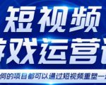 短视频游戏赚钱特训营，0门槛小白也可以操作，日入1000+-赚金金-技能学习分享