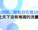 引流108招,轻松日引流100+人,让天下没有难搞的流量-赚金金-技能学习分享