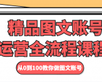 精品图文账号运营全流程课程 从0到100教你做图文账号-赚金金-技能学习分享