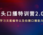 镜头口播特训营2.0版,学习文案编导以及拍摄口播能力(50节课时)-赚金金-技能学习分享