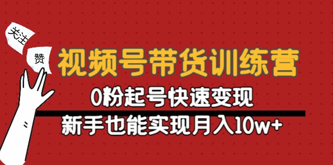 视频号带货训练营:0粉起号快速变现,新手也能实现月入10w+-赚金金-技能学习分享