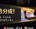 2022年最新中视频变现最稳最长期的项目,一个账号月入几万很简单-赚金金-技能学习分享