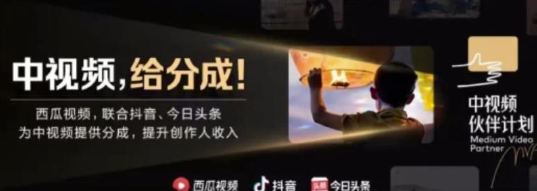 2022年最新中视频变现最稳最长期的项目,一个账号月入几万很简单-赚金金-技能学习分享