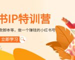 小红书IP特训营:从搭建-制作-爆款脚本等等,做一个赚钱的小红书号-赚金金-技能学习分享