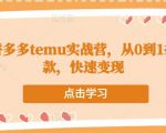 跨境拼多多temu实战营,从0到1打造爆款,快速变现-赚金金-技能学习分享