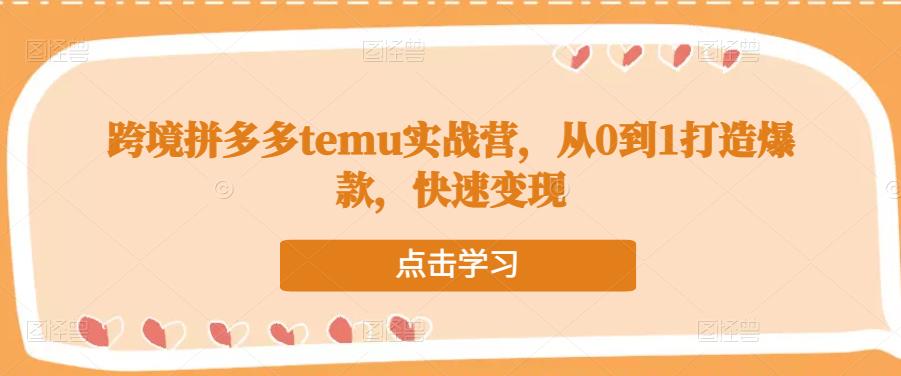 跨境拼多多temu实战营,从0到1打造爆款,快速变现-赚金金-技能学习分享