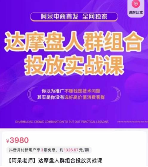 阿呆电商·达摩盘人群组合投放实战课，你以为推广不赚钱是技术问题，其实是你没有选好高价值消费客群-赚金金-技能学习分享