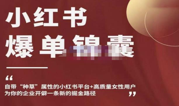 小红书爆单锦囊,自带种草属性+高质量女性用户,为你的企业开辟一条新的掘金路径-赚金金-技能学习分享