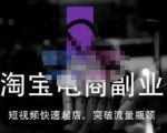 蓝Sir派·淘宝短视频快速起店,替代传统搜索方式,学会做一个不一样的淘宝店-赚金金-技能学习分享