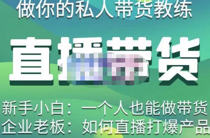 硬核传媒·直播带货（私人教练），实操实战教学，通俗易懂，学完后新手小白一个人也能做带货-赚金金-技能学习分享