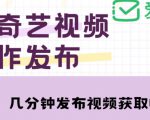 爱奇艺号视频发布,每天只需花几分钟即可发布视频,简单操作收入过万【教程+涨粉攻略】-赚金金-技能学习分享