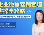 企业微信营销管理实操全攻略，链接11亿微信用户，轻松引流获客！-赚金金-技能学习分享