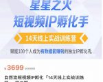 瑶瑶·自然流短视频IP孵化第二期,14天线上实战训练营,赋能100个人成为有数据能赚钱的独立IP孵化手-赚金金-技能学习分享
