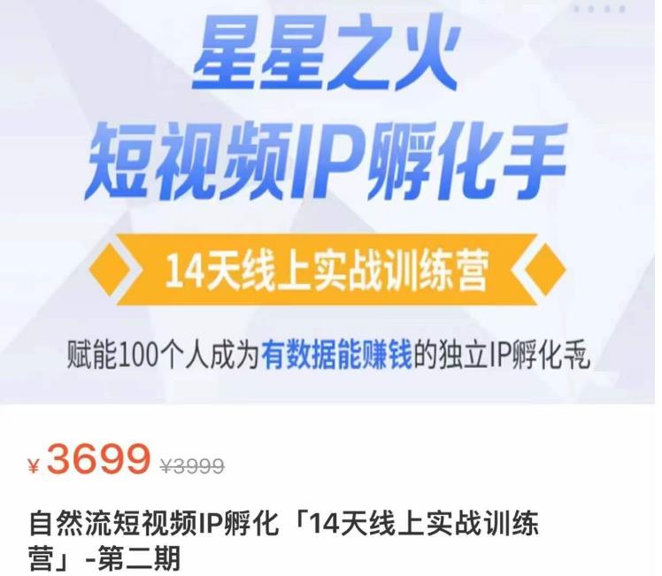 瑶瑶·自然流短视频IP孵化第二期，14天线上实战训练营，赋能100个人成为有数据能赚钱的独立IP孵化手-赚金金-技能学习分享